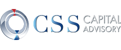CSS Logo