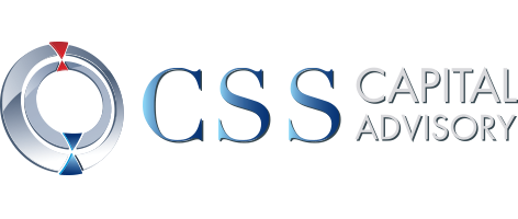 CSS Logo